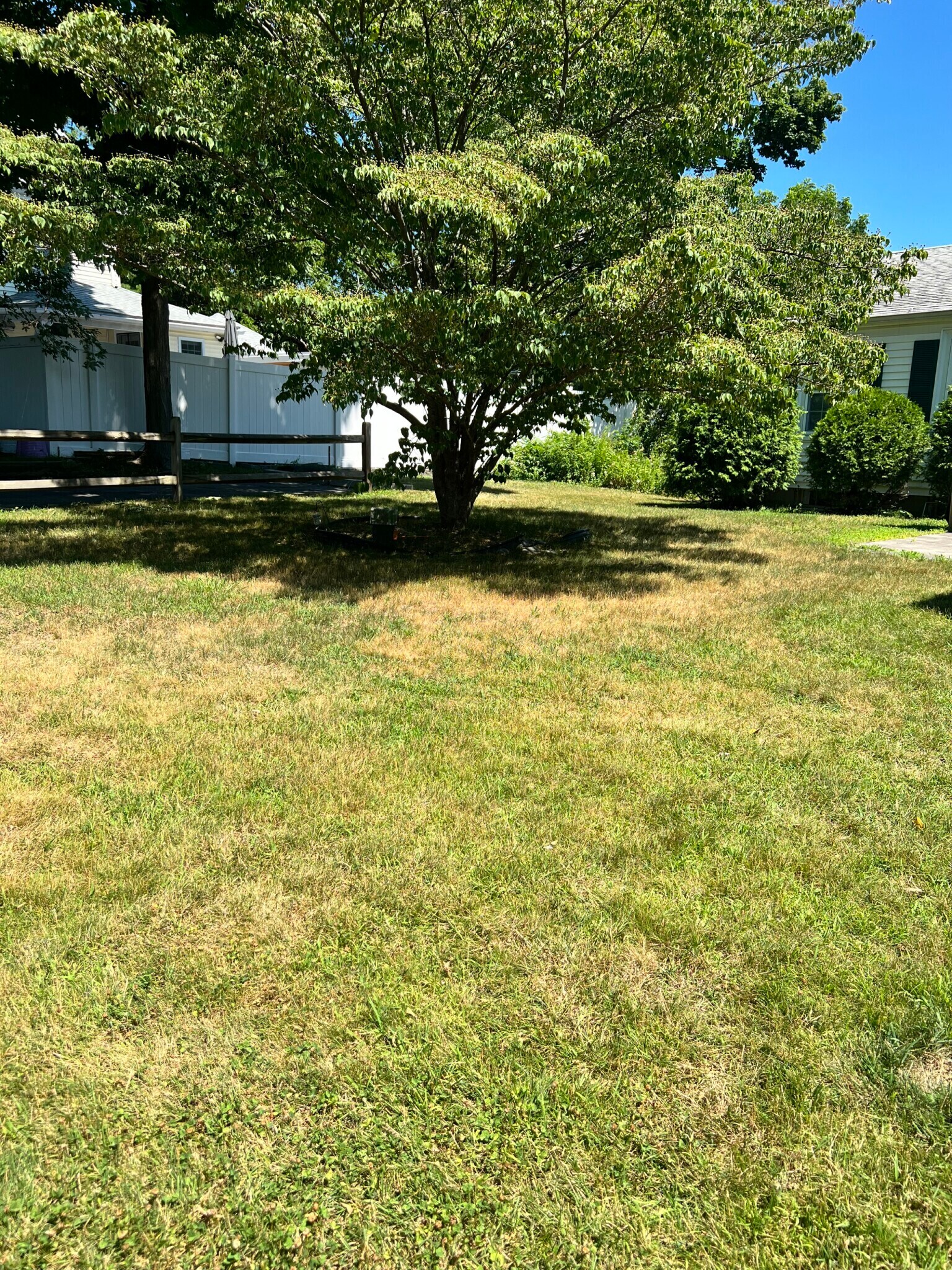 Building Photo - 1 Poole St