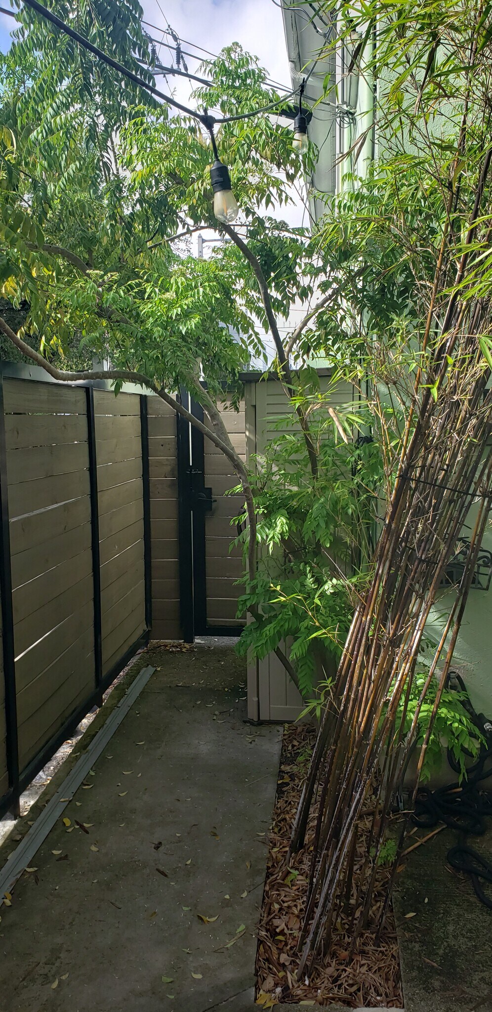 Building Photo - 1120 7th St