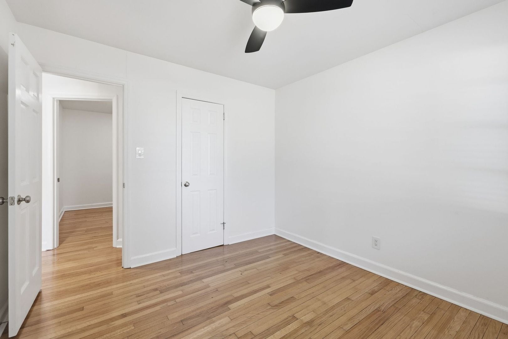 Building Photo - 902 New Bern Ave