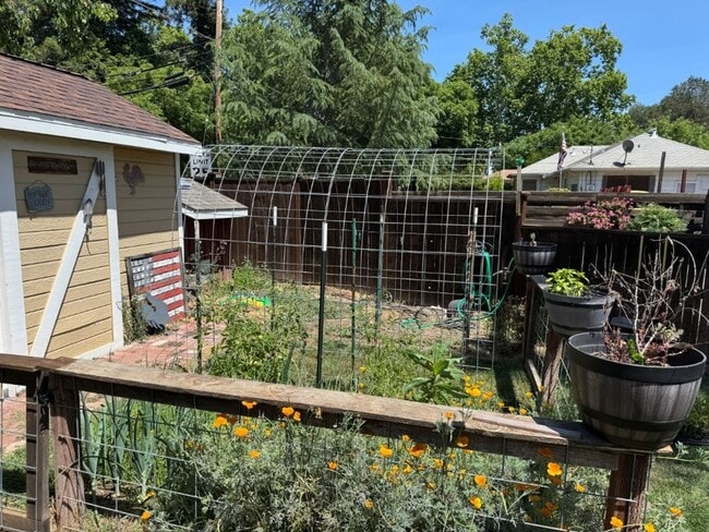 Building Photo - Charming Cottage in Central Woodland