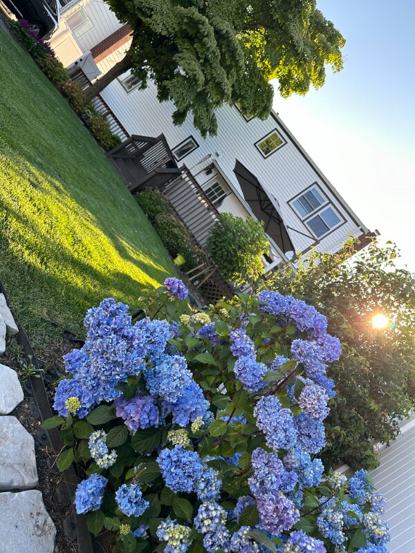 Building Photo - 194 Covert Ave