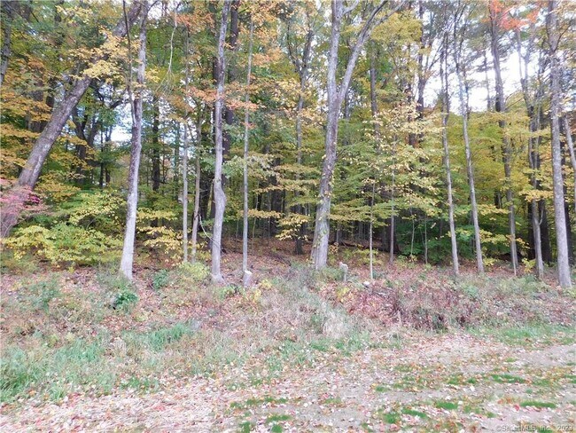 Building Photo - 372 Bushy Hill Rd