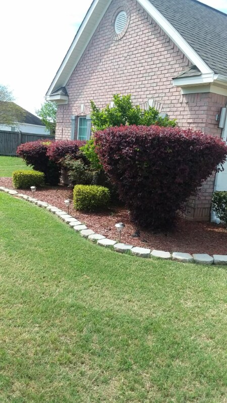 Building Photo - 106 Fairfax Ct