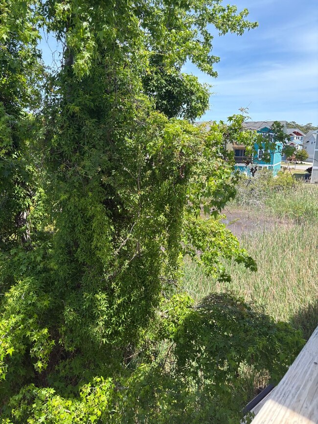 Building Photo - 3 Bedroom 3 Bath Home in Kill Devil Hills ...