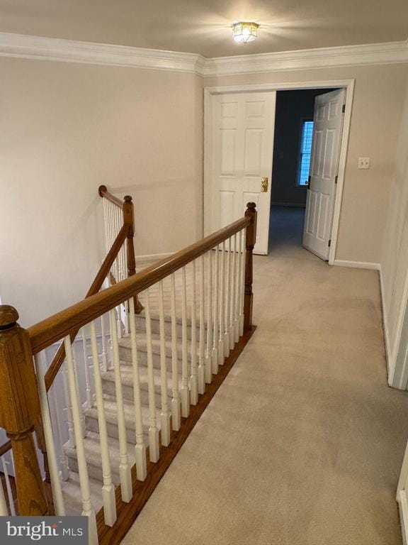 Building Photo - 10838 Welbury Ct