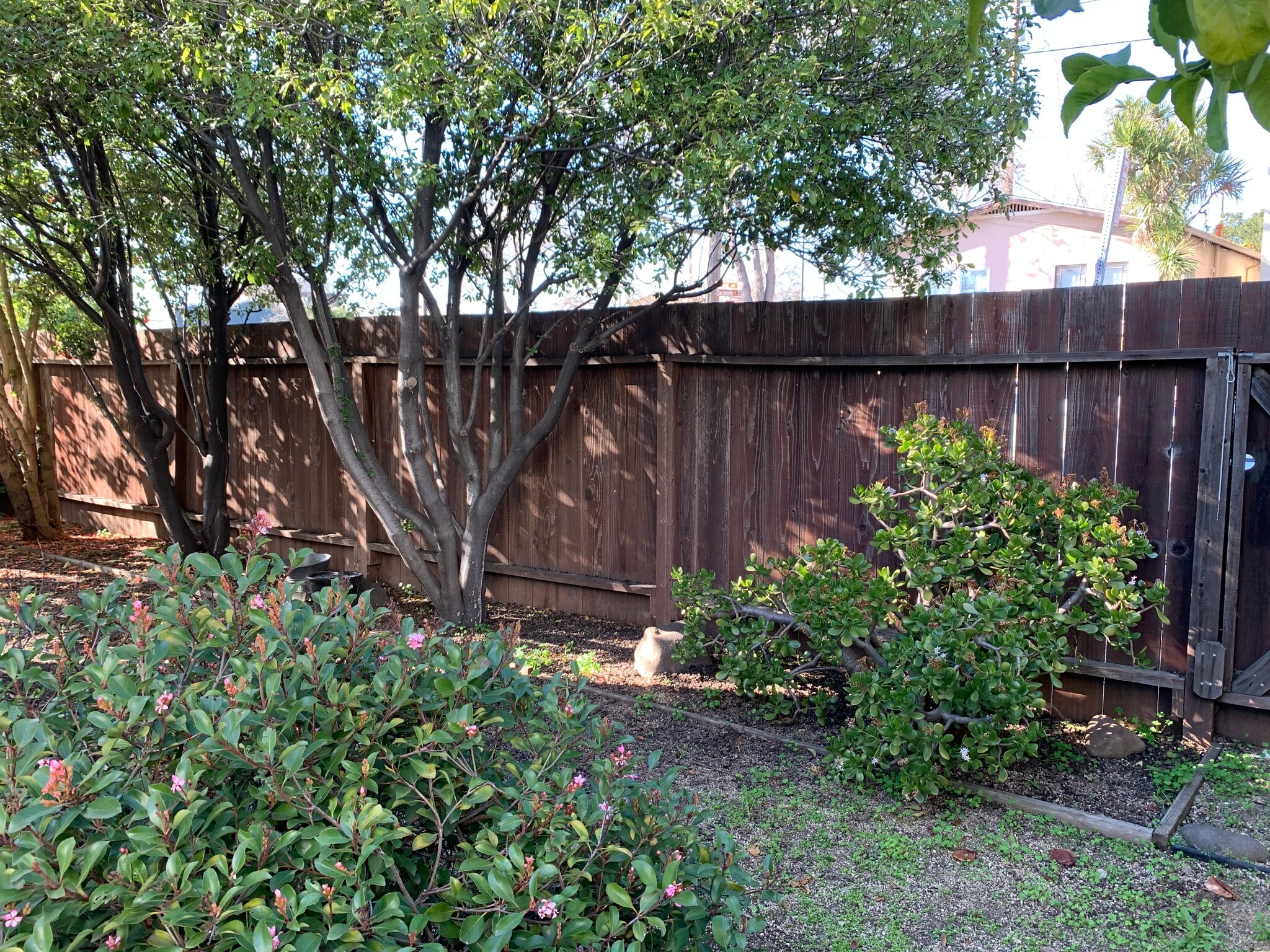 Building Photo - 1903 Sacramento St