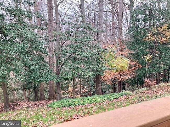 Building Photo - 2819 Berth Ct