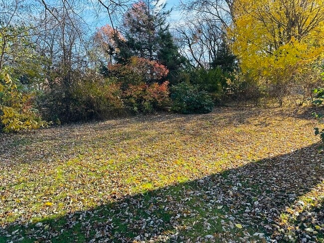 Building Photo - 45 Randlett St