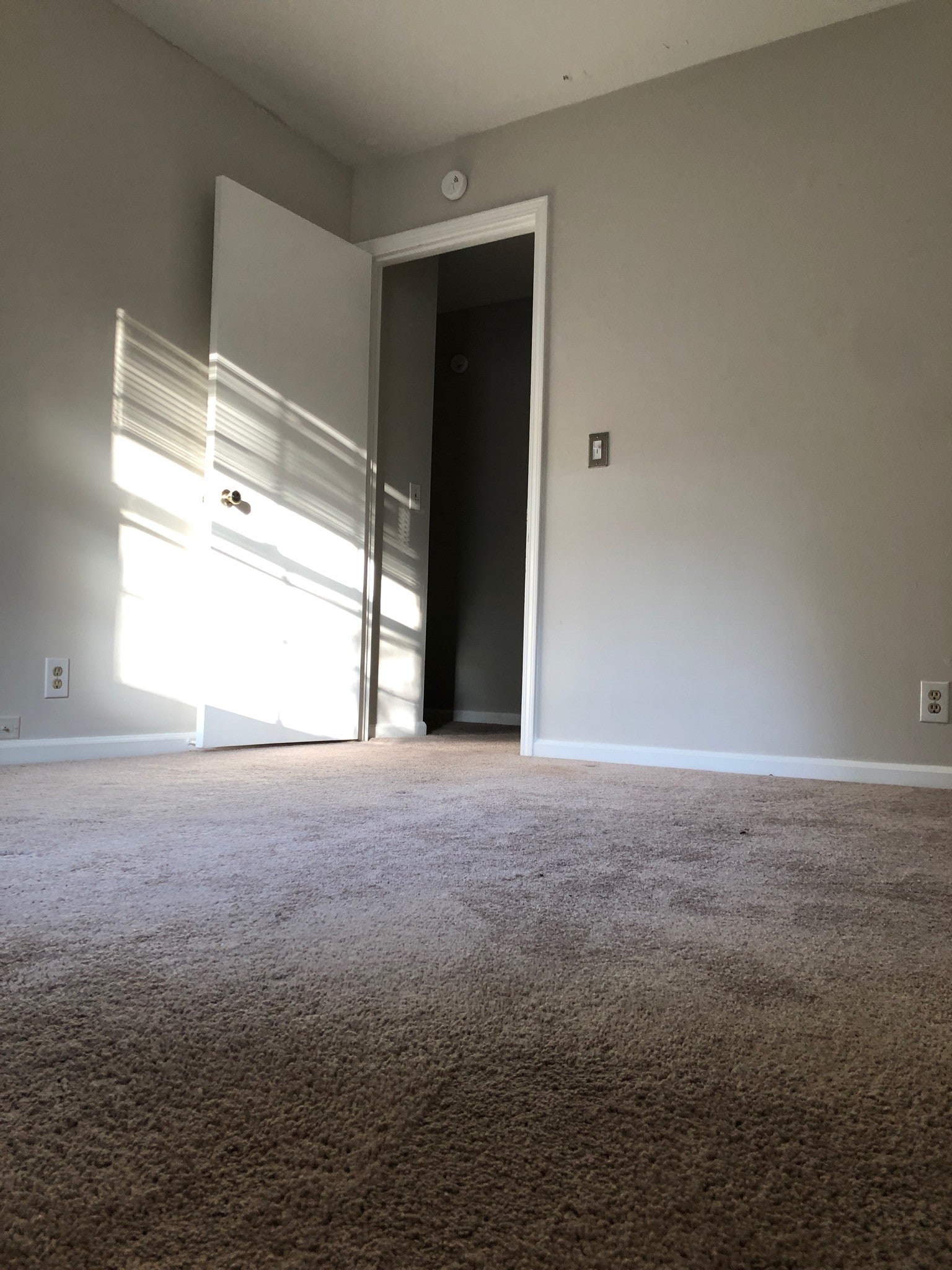 Building Photo - 2833 Hillside Dr