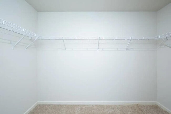 Building Photo - 101 White Cedar Dr