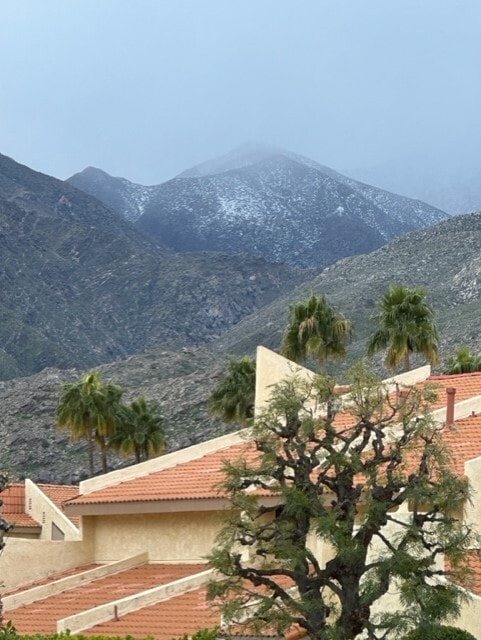 More snow ! View from balcony - 255 E Avenida Granada