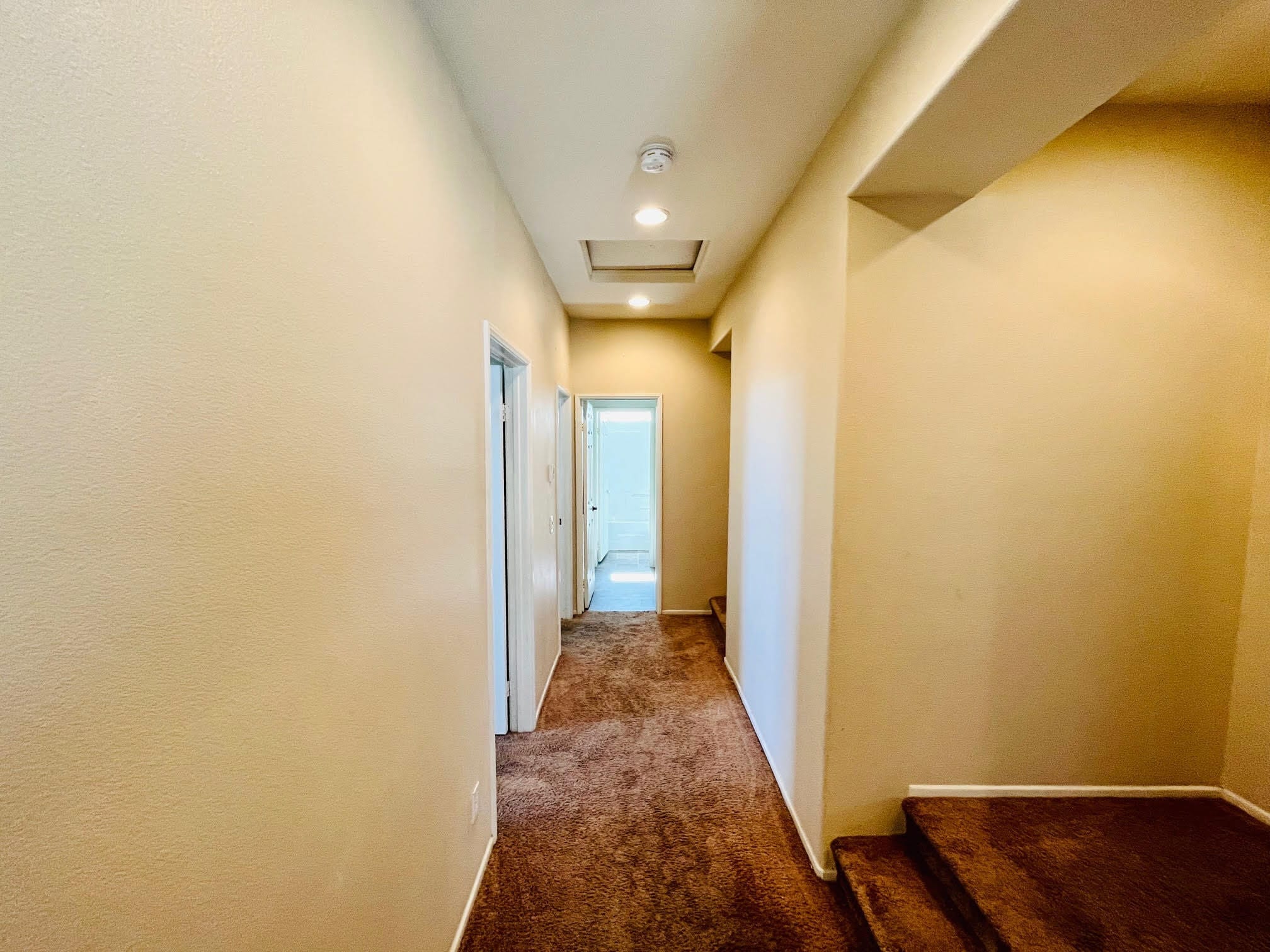 Building Photo - 4117 Pacific Star Dr