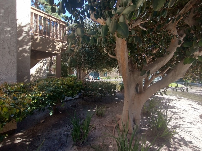 Building Photo - 340 Orange Blossom
