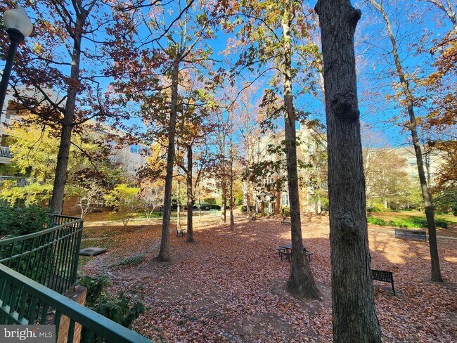 Building Photo - 2204 Westcourt Ln