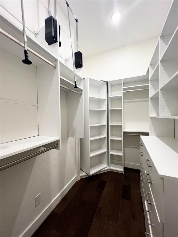 Building Photo - 6124 Teodoro Bend