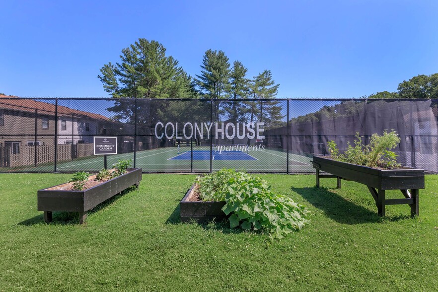 Primary Photo - Colony House