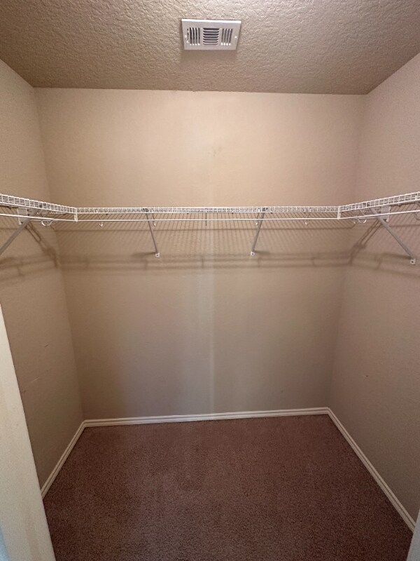 Building Photo - 10831 Bramante Ln