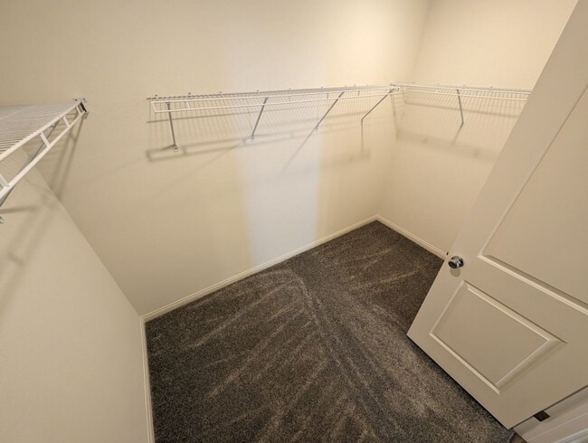 Building Photo - 3659 Almada Ln