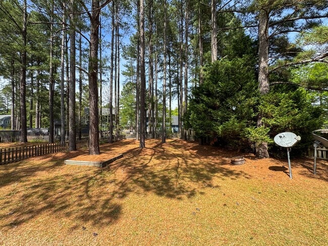 Building Photo - Charming 4 Bed 2 Bath Home in Jack Britt