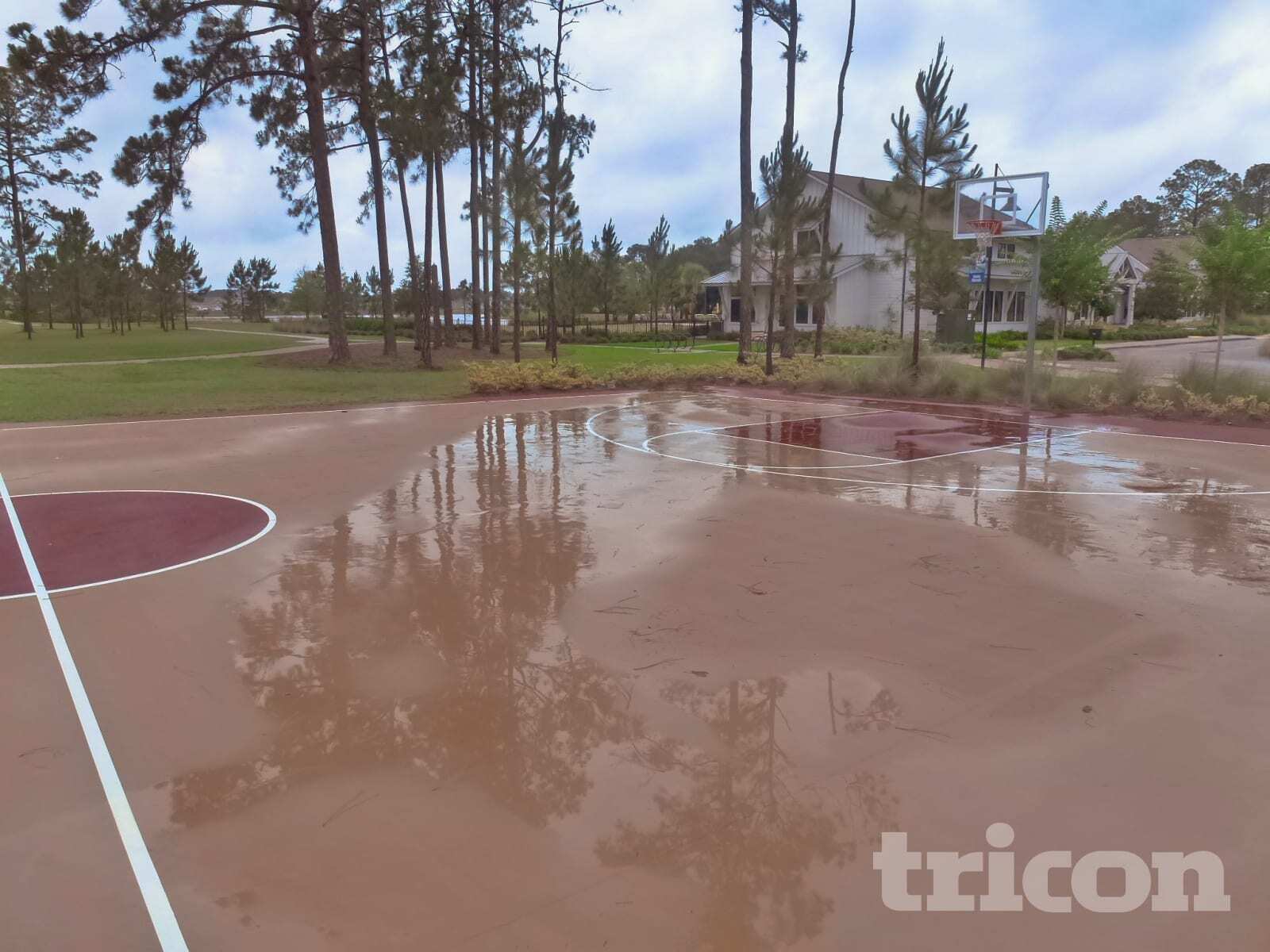 Building Photo - 165 Bloomfield Wy