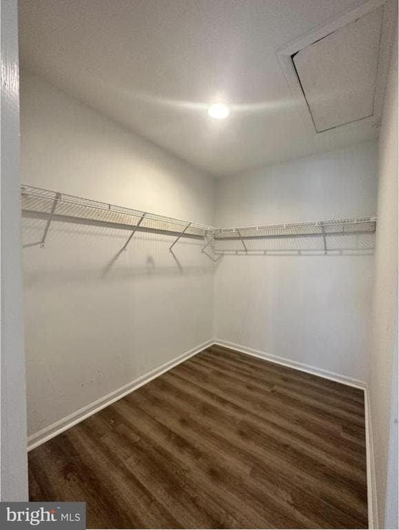 Building Photo - 2022 Beacon Hill Dr