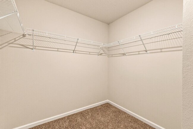 Building Photo - 3284 Chapelwood Dr