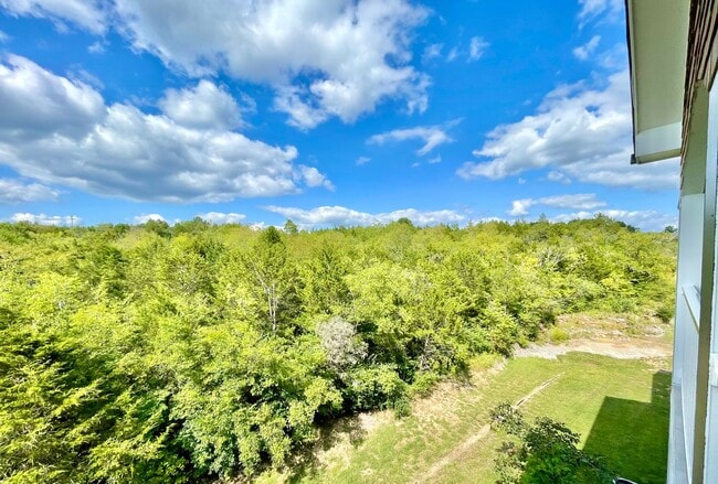 Building Photo - Beautiful Condo! Views & Nature from Every Window! Pet Friendly! Required Insurance & Air Filters...