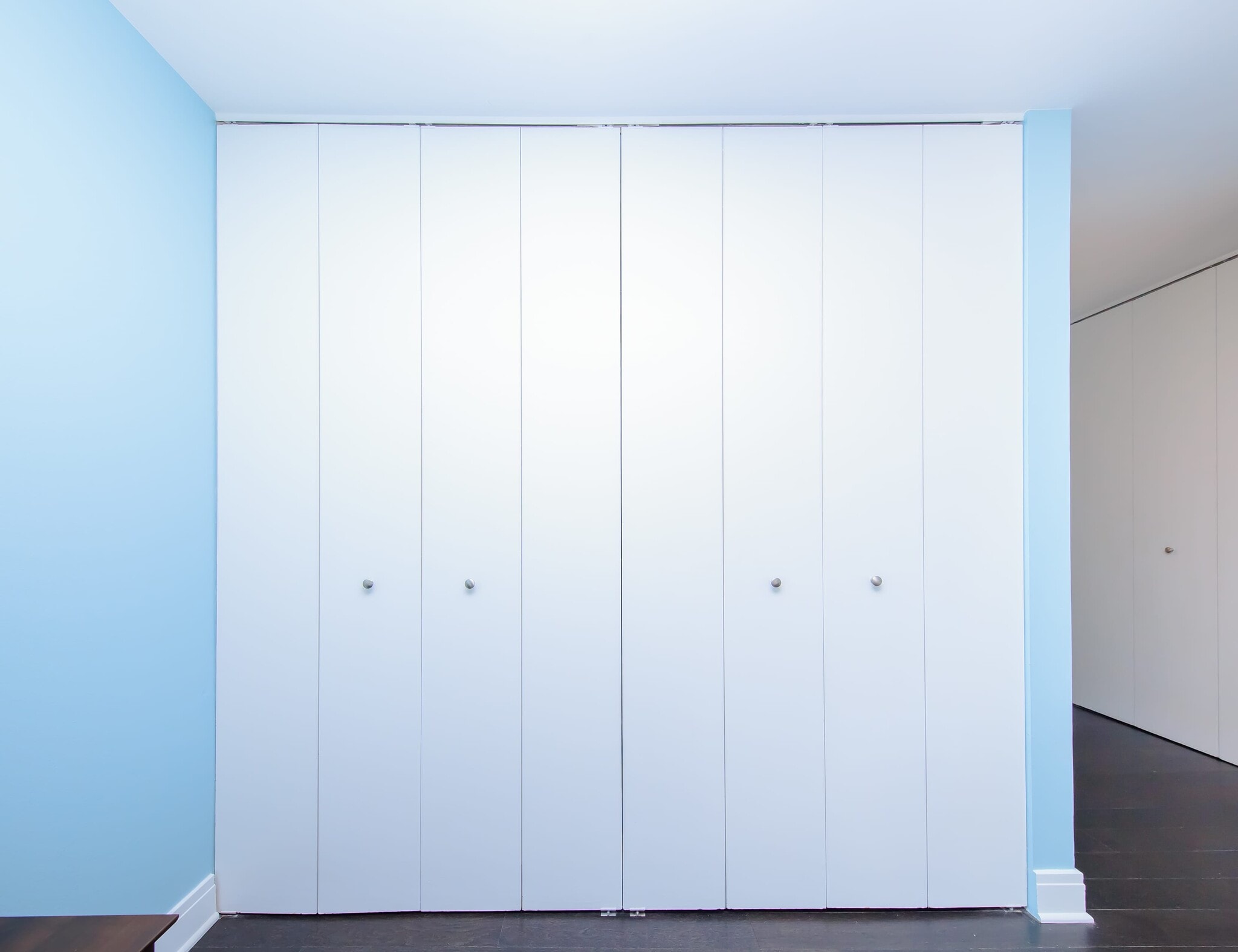 Master Closet - 200 N Dearborn St