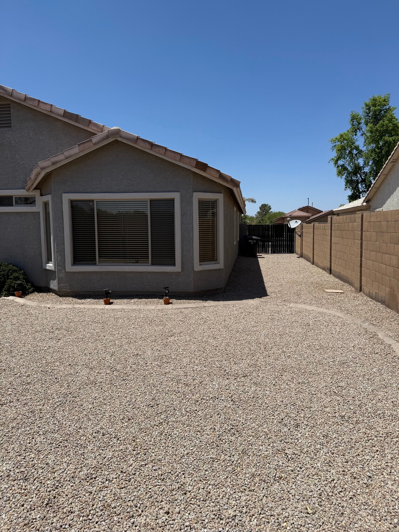 Large side yard area - 3793 S Joshua Tree Ln