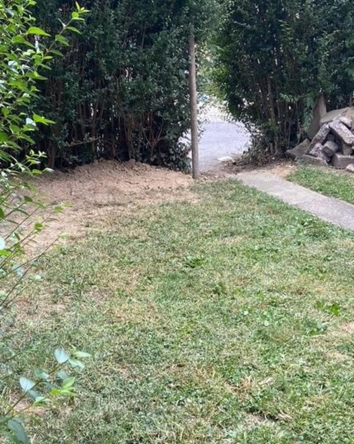 Building Photo - 1811 Mulberry St