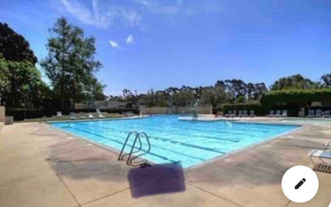 Neighborhood Pool - 39 Thicket