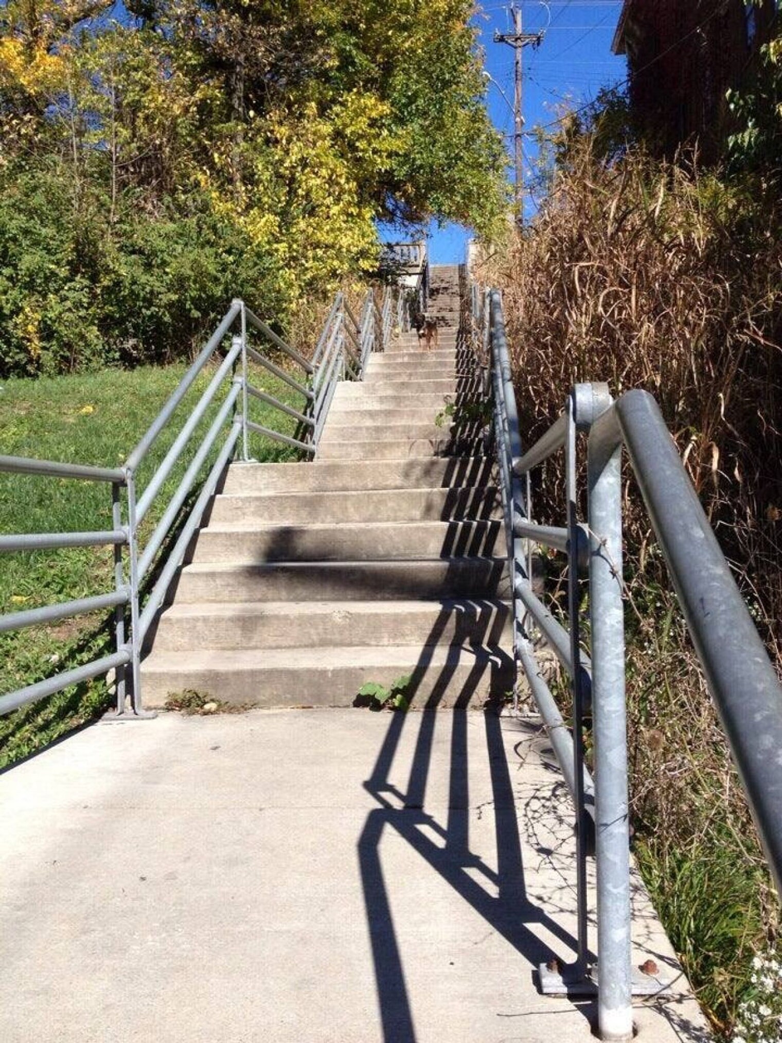 Building Photo - 107 E Clifton Ave