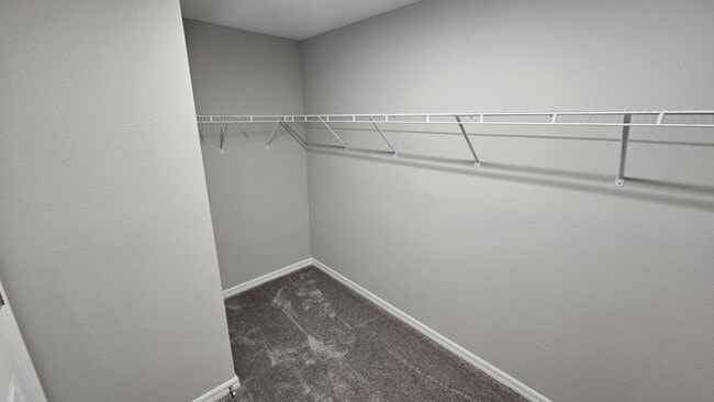 Building Photo - 1428 Axel Cir