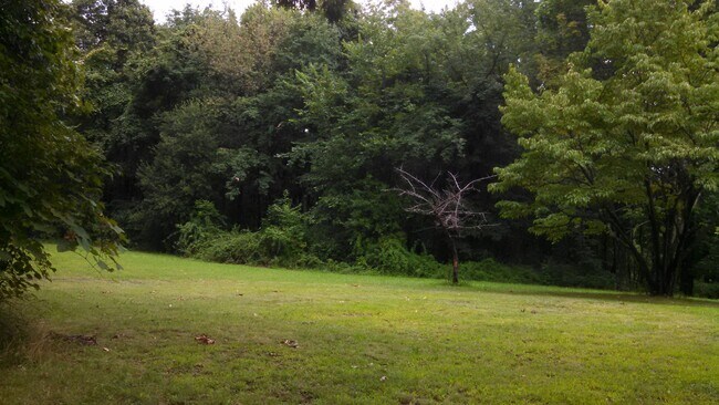 Building Photo - 3 bedroom/1.5 bath house in Seneca School ...