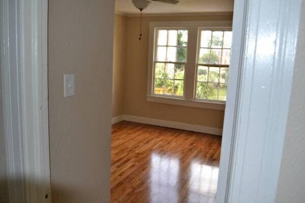 Building Photo - 4832 Convention St