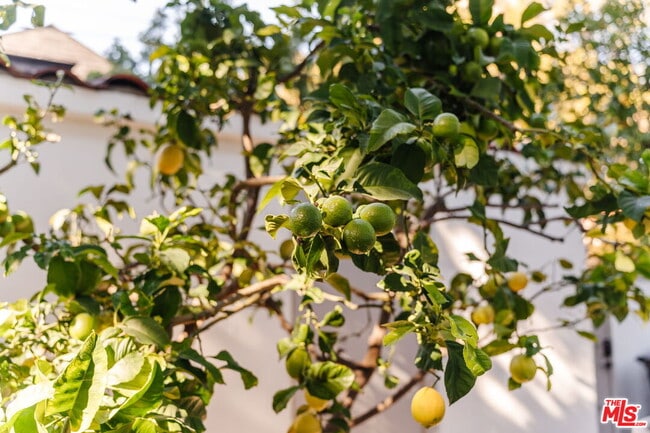 Building Photo - 2027 Canyon Dr