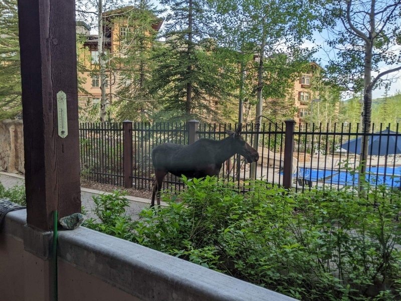 Building Photo - 12082 E Big Cottonwood Cyn Rd