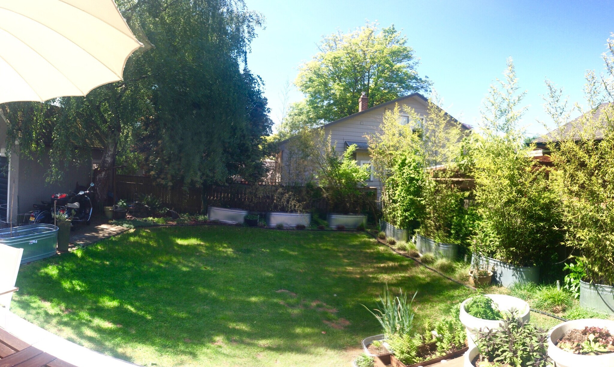 Room to grow, play, or just hang out in the shade of a large willow tree on one side and mature bamboos on the other - 2635 NE 30th Ave