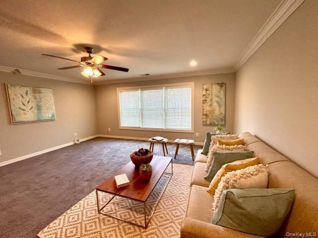 Building Photo - 1420 Dolphin Ln