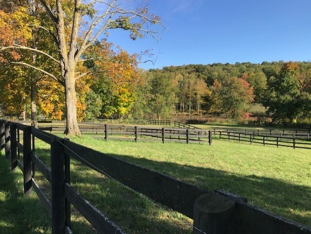 Building Photo - 572 E Branch Rd