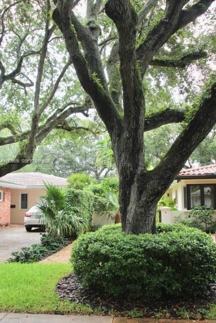 Building Photo - 721 Tibidabo Ave