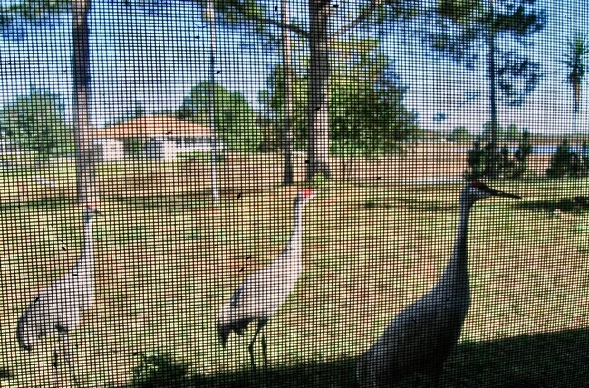 Building Photo - 1371 Melshire Ave