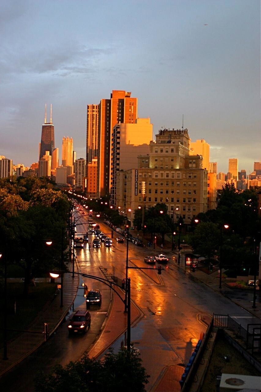 South view from Condo - 2000 N Lincoln Park W