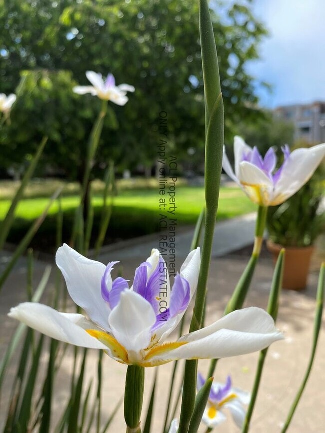 Building Photo - Perectly Located, Spacious, 2bed/ 2bath, Emeryville Condo For Rent