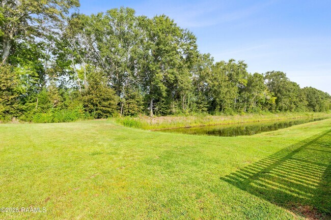 Building Photo - 205 Cane Run Ct