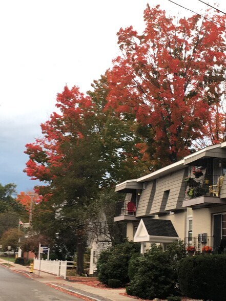 Primary Photo - 13 Summer St