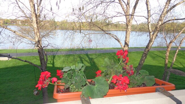 BALCONY VIEW - 1282 N Streamwood Ln