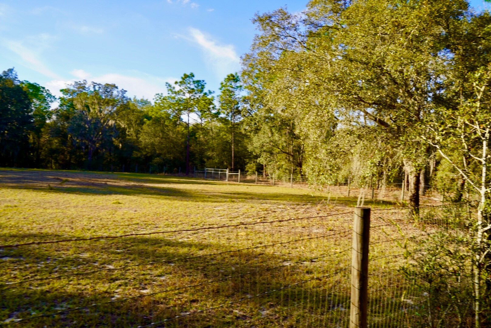 Building Photo - 29205 Saddle Oaks Ln