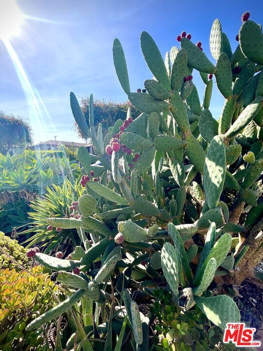 Building Photo - 3017 Urban Ave