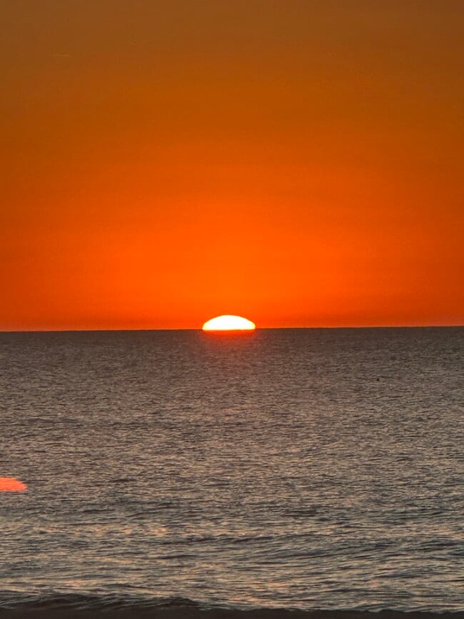 Building Photo - 1655 S Highland Ave